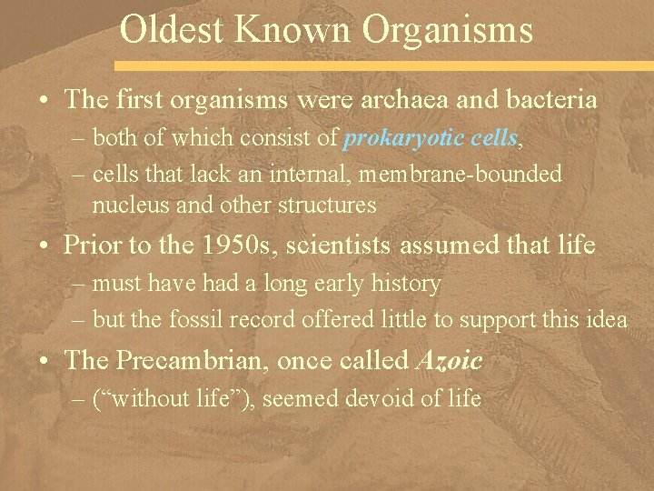 Oldest Known Organisms • The first organisms were archaea and bacteria – both of