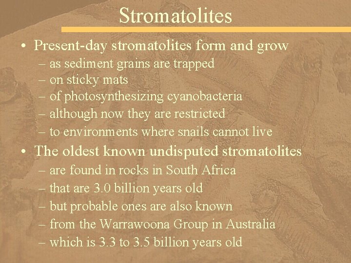 Stromatolites • Present-day stromatolites form and grow – as sediment grains are trapped –