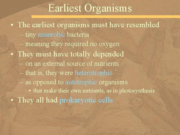 Earliest Organisms • The earliest organisms must have resembled – tiny anaerobic bacteria –
