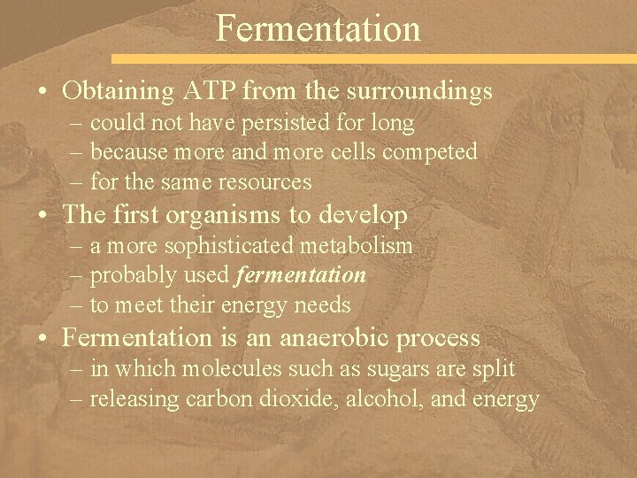 Fermentation • Obtaining ATP from the surroundings – could not have persisted for long