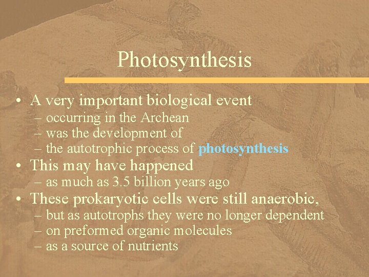 Photosynthesis • A very important biological event – occurring in the Archean – was