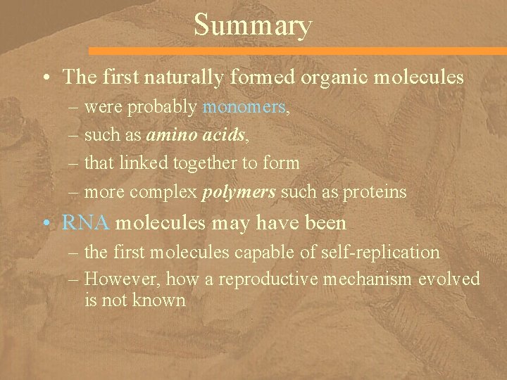 Summary • The first naturally formed organic molecules – were probably monomers, – such