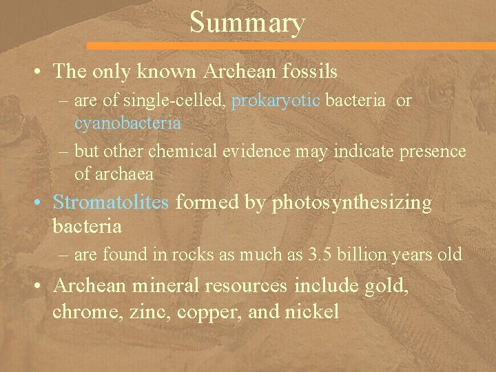 Summary • The only known Archean fossils – are of single-celled, prokaryotic bacteria or
