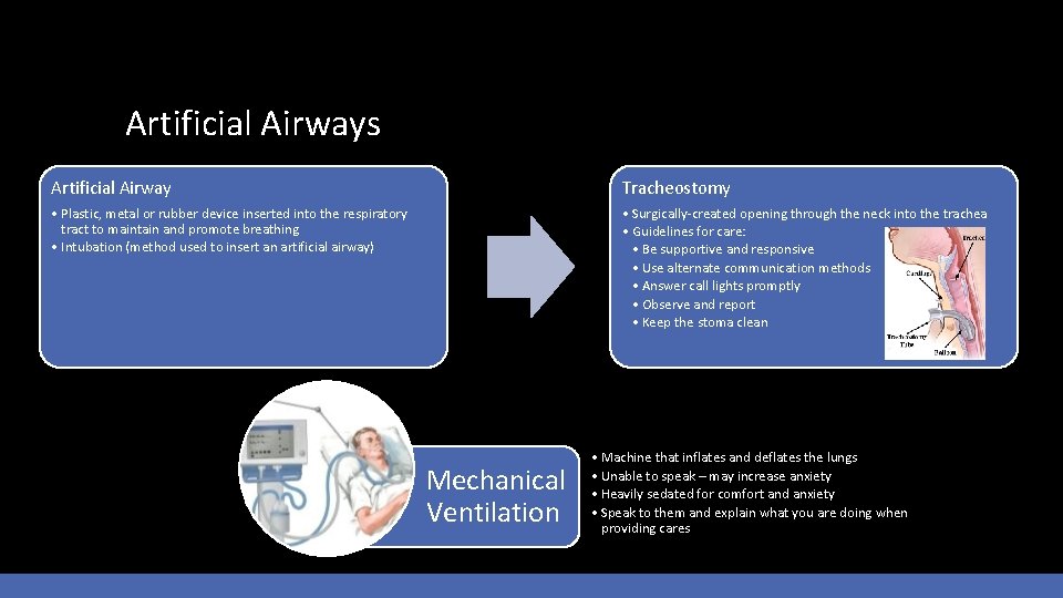 Artificial Airways Artificial Airway Tracheostomy • Plastic, metal or rubber device inserted into the