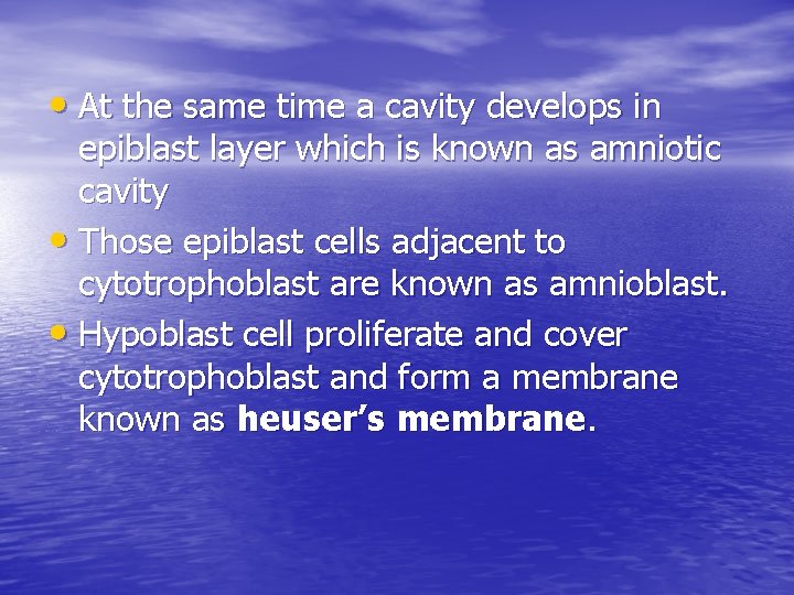  • At the same time a cavity develops in epiblast layer which is