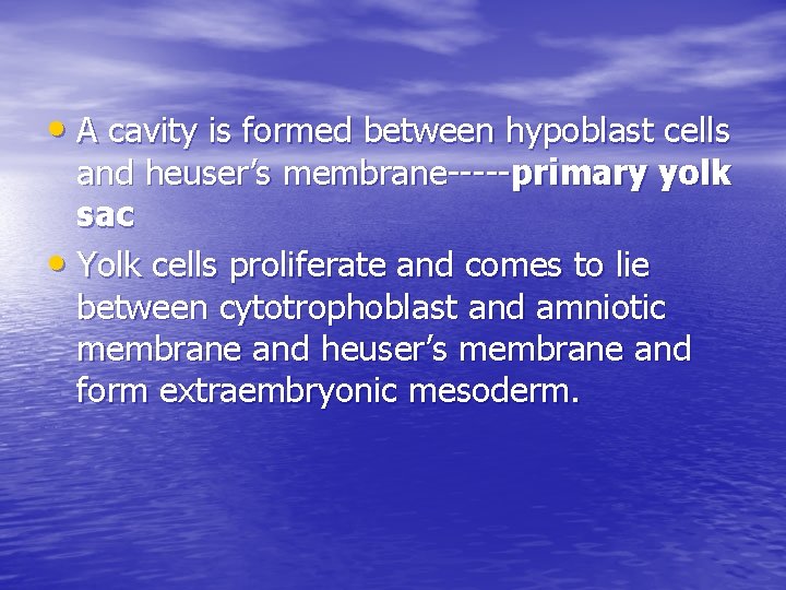  • A cavity is formed between hypoblast cells and heuser’s membrane-----primary yolk sac