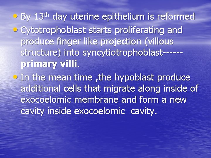  • By 13 th day uterine epithelium is reformed • Cytotrophoblast starts proliferating