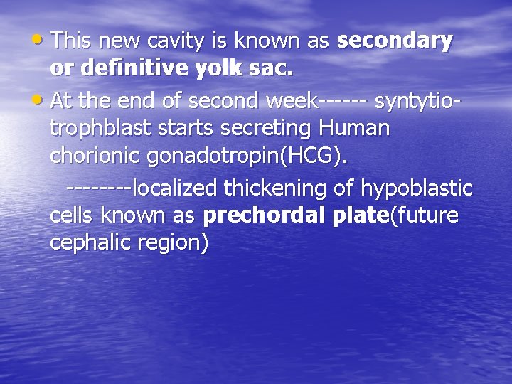  • This new cavity is known as secondary or definitive yolk sac. •