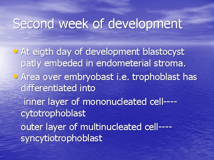 Second week of development • At eigth day of development blastocyst patly embeded in