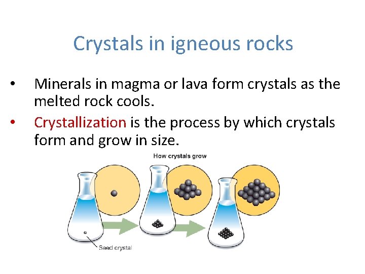 Crystals in igneous rocks • • Minerals in magma or lava form crystals as