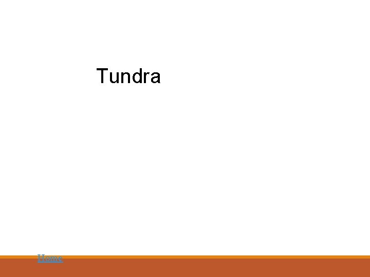 Tundra Home 