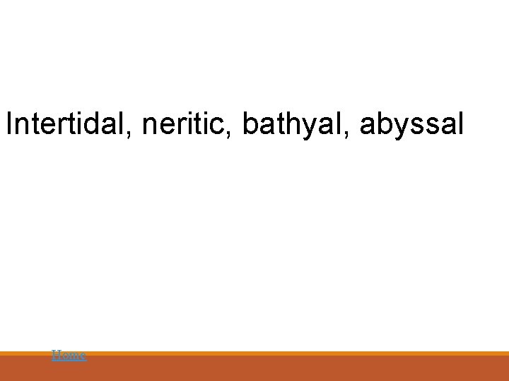 Intertidal, neritic, bathyal, abyssal Home 