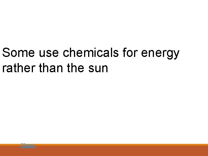 Some use chemicals for energy rather than the sun Home 