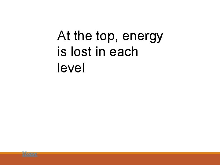 At the top, energy is lost in each level Home 