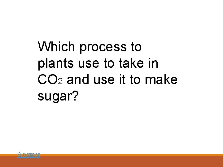 Which process to plants use to take in CO 2 and use it to