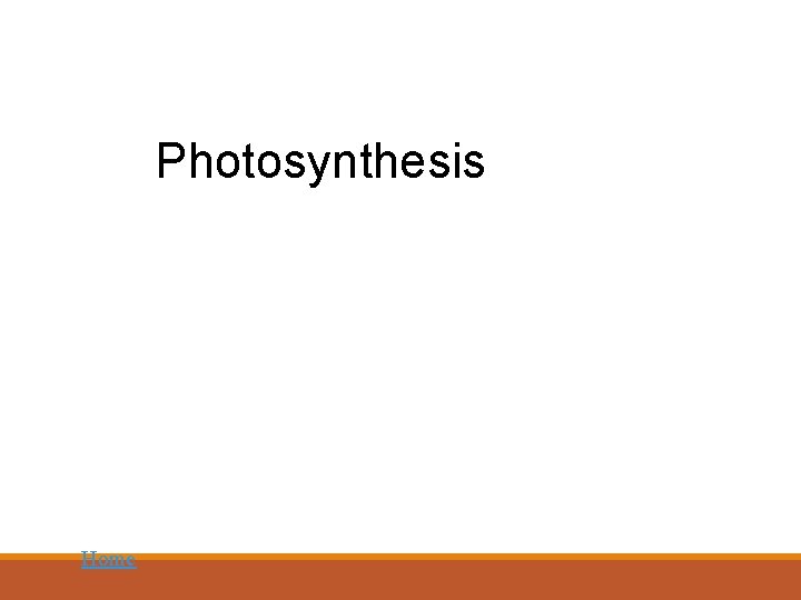 Photosynthesis Home 