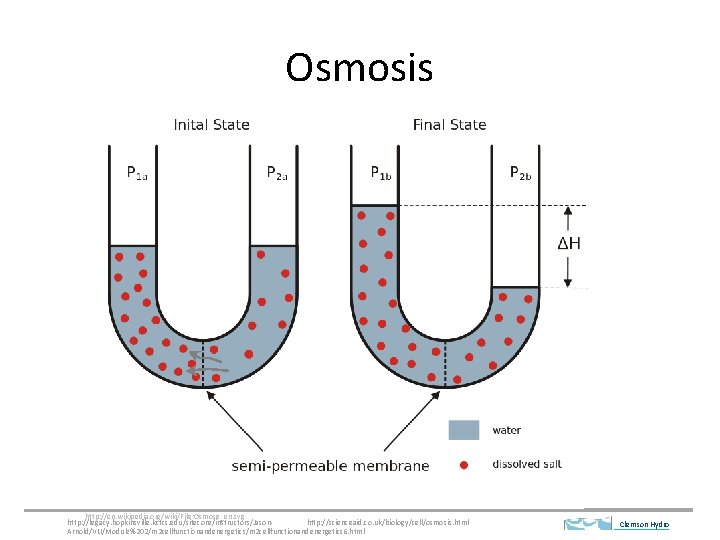 Osmosis http: //en. wikipedia. org/wiki/File: Osmose_en. svg http: //legacy. hopkinsville. kctcs. edu/sitecore/instructors/Jasonhttp: //scienceaid. co.