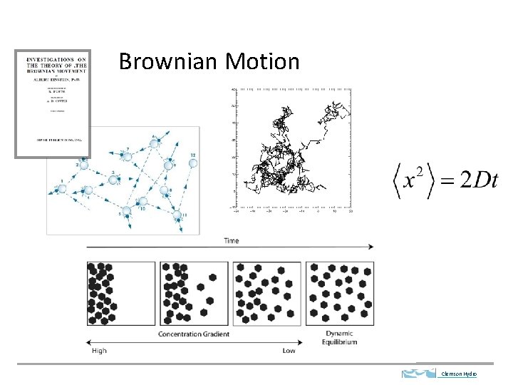 Brownian Motion Clemson Hydro 