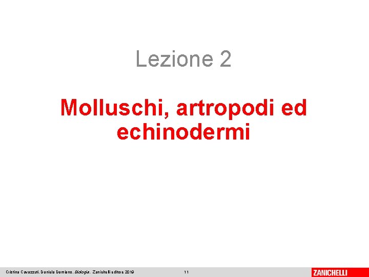 Lezione 2 Molluschi, artropodi ed echinodermi Cristina Cavazzuti, Daniela Damiano, Biologia, Zanichelli editore 2019