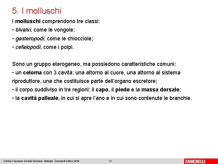 5. I molluschi comprendono tre classi: • bivalvi, come le vongole; • gasteropodi, come