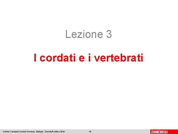 Lezione 3 I cordati e i vertebrati Cristina Cavazzuti, Daniela Damiano, Biologia, Zanichelli editore