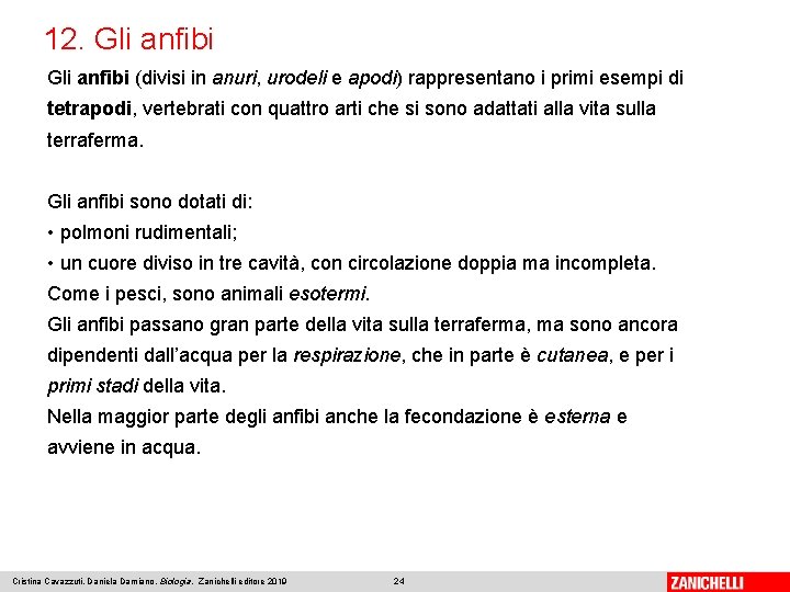 12. Gli anfibi (divisi in anuri, urodeli e apodi) rappresentano i primi esempi di