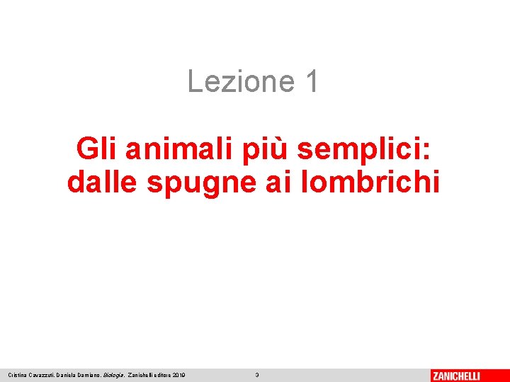 Lezione 1 Gli animali più semplici: dalle spugne ai lombrichi Cristina Cavazzuti, Daniela Damiano,