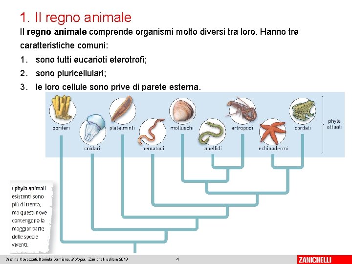1. Il regno animale comprende organismi molto diversi tra loro. Hanno tre caratteristiche comuni: