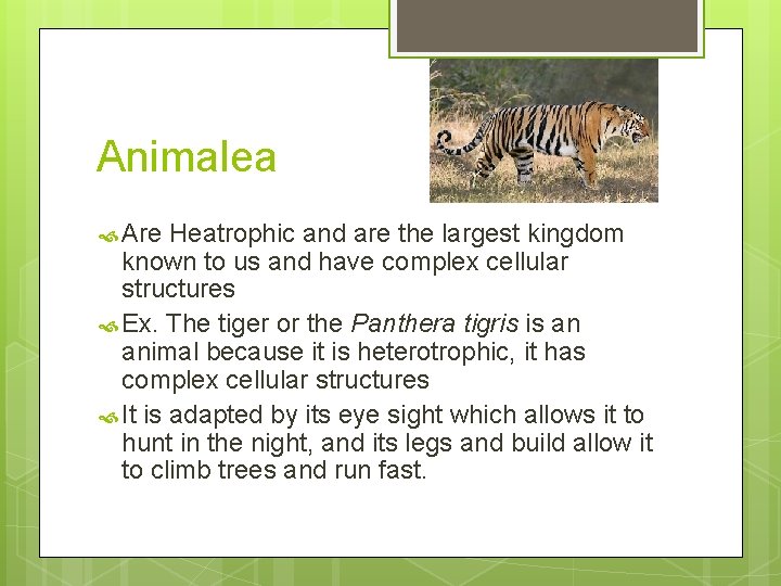 Animalea Are Heatrophic and are the largest kingdom known to us and have complex