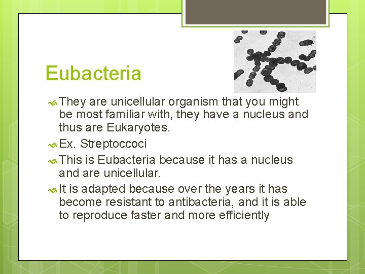 Eubacteria They are unicellular organism that you might be most familiar with, they have