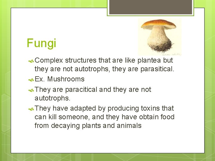 Fungi Complex structures that are like plantea but they are not autotrophs, they are
