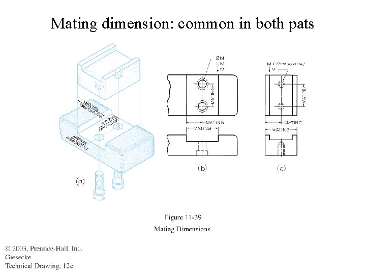 Mating dimension: common in both pats 