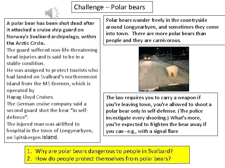 Challenge – Polar bears A polar bear has been shot dead after it attacked