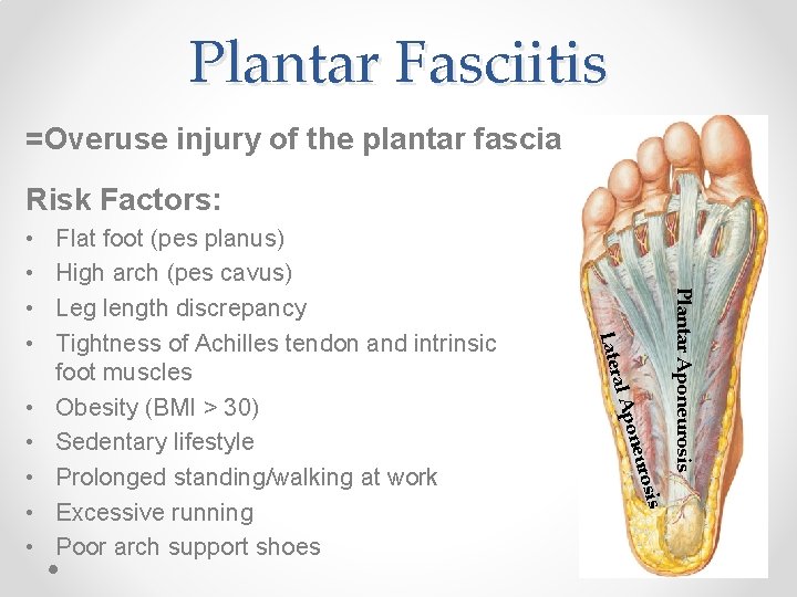 Plantar Fasciitis =Overuse injury of the plantar fascia Risk Factors: is uros pone Plantar