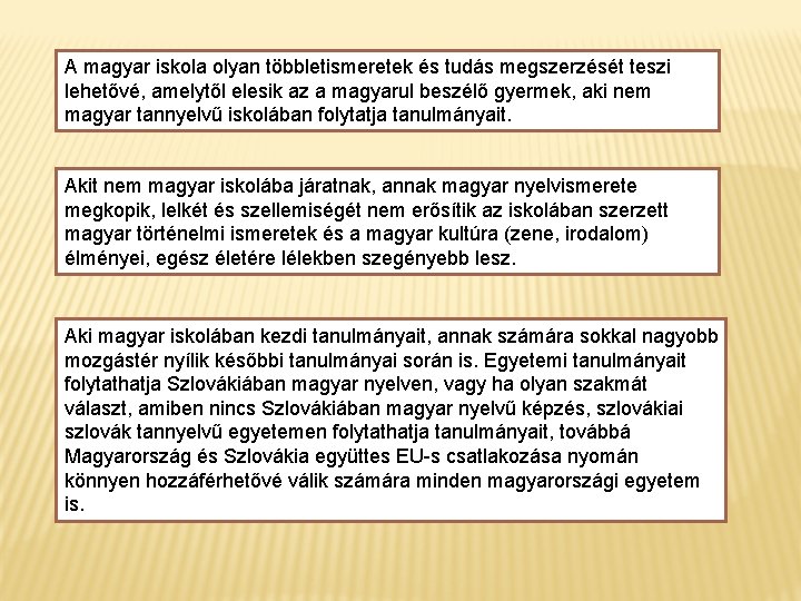 A magyar iskola olyan többletismeretek és tudás megszerzését teszi lehetővé, amelytől elesik az a