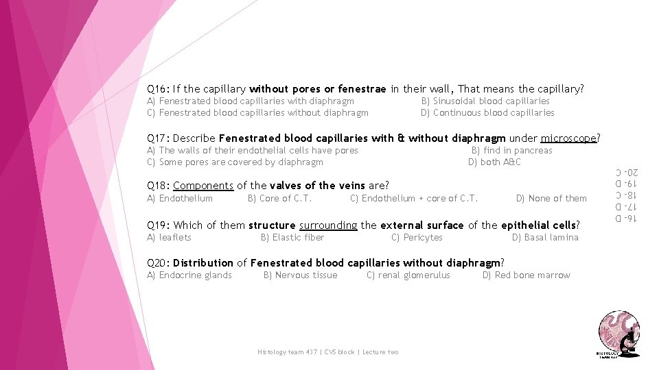Q 16: If the capillary without pores or fenestrae in their wall, That means