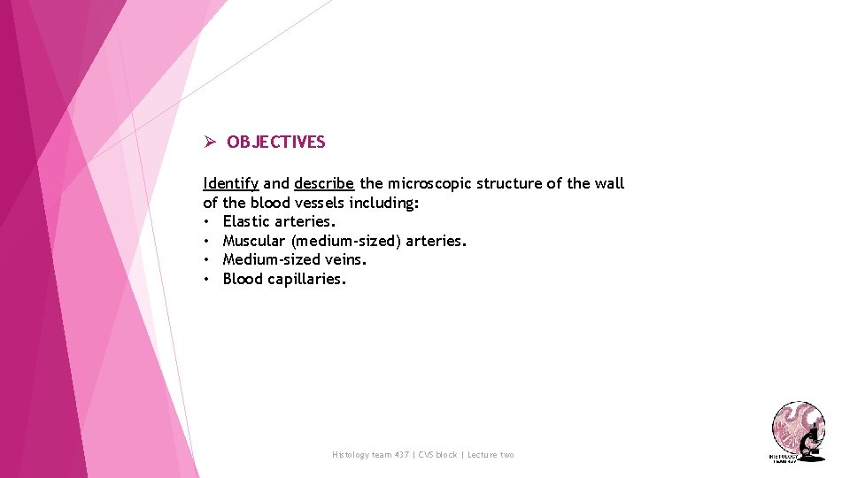 Ø OBJECTIVES Identify and describe the microscopic structure of the wall of the blood