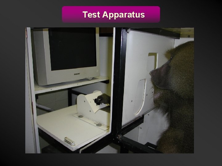 Test Apparatus 