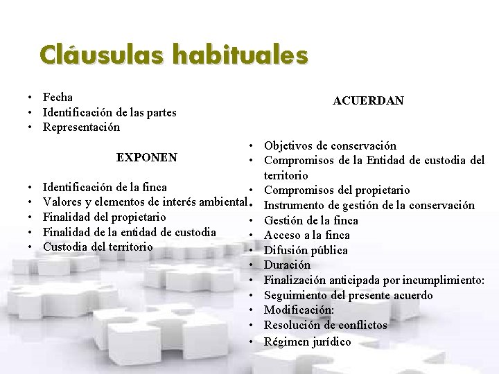 Cláusulas habituales • Fecha • Identificación de las partes • Representación • • •