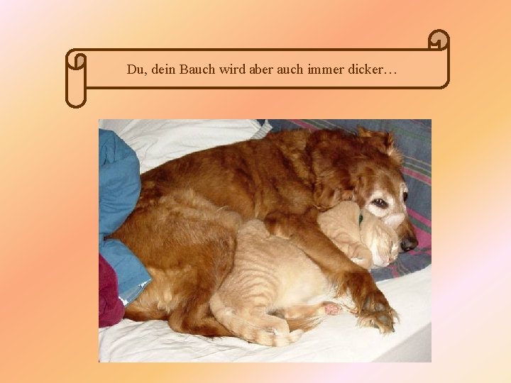 Du, dein Bauch wird aber auch immer dicker… 