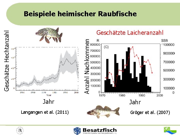 Geschätzte Laicheranzahl Jahr Langangen et al. (2011) Anzahl Nachkommen Geschätze Hechtanzahl Beispiele heimischer Raubfische