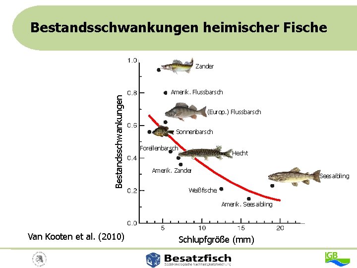 Bestandsschwankungen heimischer Fische Bestandsschwankungen Zander Amerik. Flussbarsch (Europ. ) Flussbarsch Sonnenbarsch Forellenbarsch Hecht Amerik.