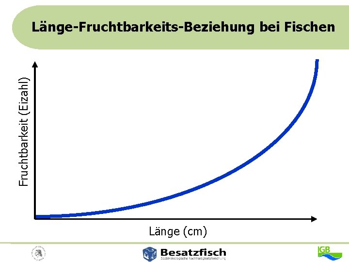 Fruchtbarkeit (Eizahl) Länge-Fruchtbarkeits-Beziehung bei Fischen Länge (cm) 