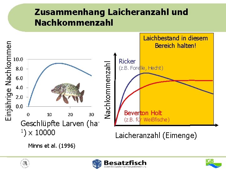 Laichbestand in diesem Bereich halten! Geschlüpfte Larven 1) x 10000 Minns et al. (1996)