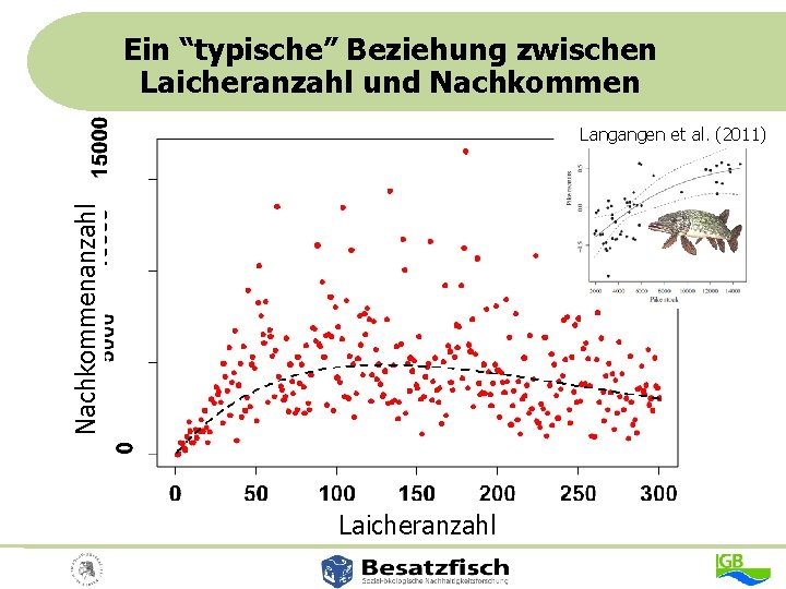 Ein “typische” Beziehung zwischen Laicheranzahl und Nachkommenanzahl Langangen et al. (2011) Laicheranzahl 