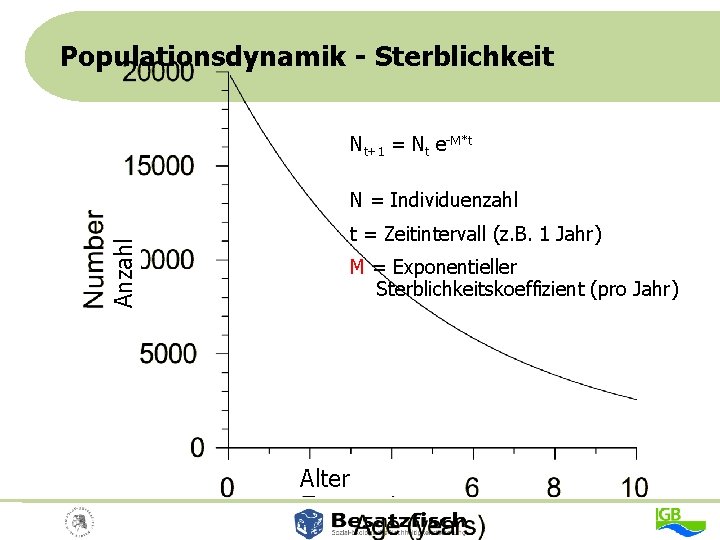 Populationsdynamik - Sterblichkeit Nt+1 = Nt e-M*t N = Individuenzahl Anzahl t = Zeitintervall