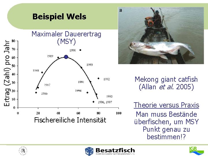 Ertrag (Zahl) pro Jahr Beispiel Wels Maximaler Dauerertrag (MSY) Mekong giant catfish (Allan et