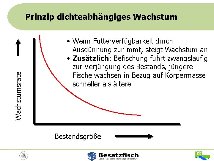 Wachstumsrate Prinzip dichteabhängiges Wachstum • Wenn Futterverfügbarkeit durch Ausdünnung zunimmt, steigt Wachstum an •