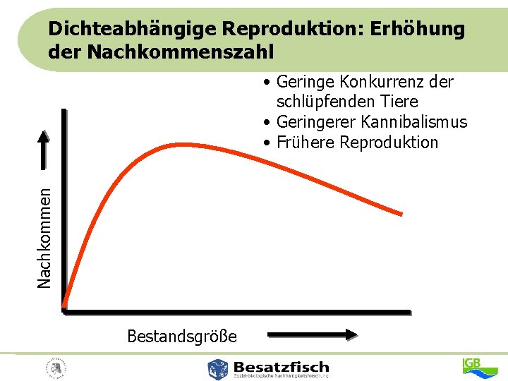 Dichteabhängige Reproduktion: Erhöhung der Nachkommenszahl Nachkommen • Geringe Konkurrenz der schlüpfenden Tiere • Geringerer