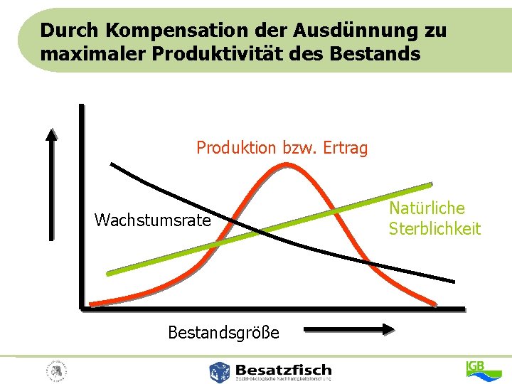 Durch Kompensation der Ausdünnung zu maximaler Produktivität des Bestands Produktion bzw. Ertrag Wachstumsrate Bestandsgröße